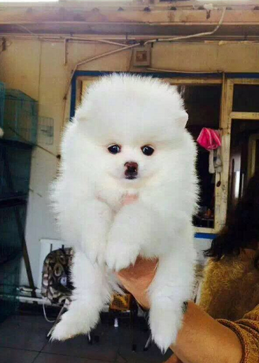 哈希娱乐- 哈希游戏平台- 哈希游戏官方网站智能家电最新资讯-快科技--科技改变未来